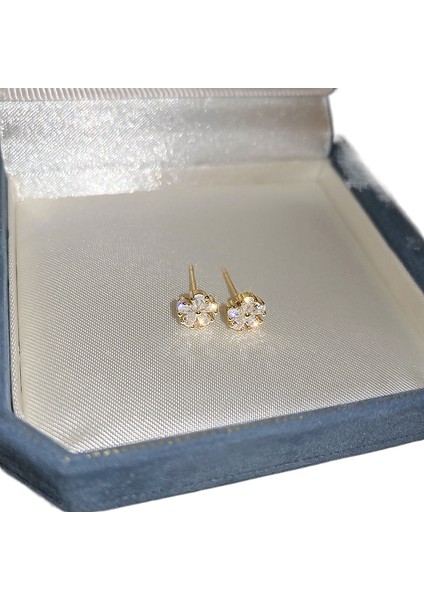 Şık ve Zarif Saplama Küpeler (Yurt Dışından)