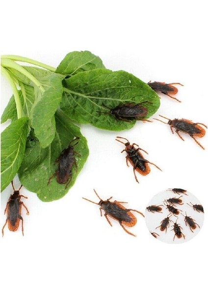 12 Adet Cadılar Bayramı Simüle Plastik Hamamböcekleri Aldatıcı Sahne Oyuncak Hüner Dekor (Yurt Dışından)