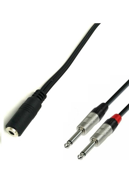 3.5 mm Stereo Dişi To 2x 6.3 mm Mono Erkek Çevirici Kablo 20 cm