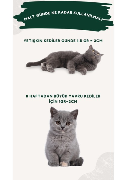 Kedi ve Köpekler İçin Kemik Sağlığı Destekleyici Glokozamin Malt 100 gr modelleri