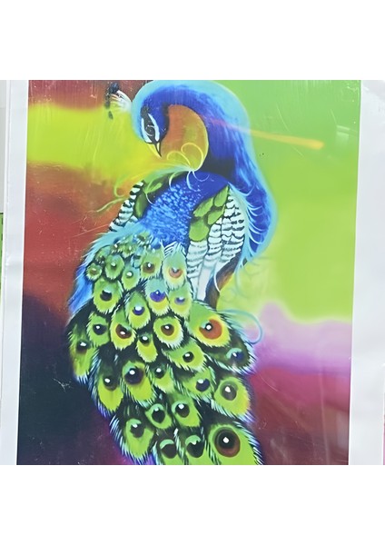 5d Yapışan Boncuk Goblen Mozaik Tablo Pano 40 x 50 cm 77633