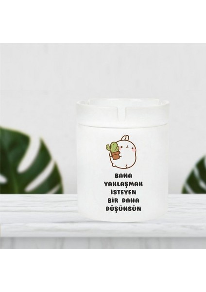 Bana Yaklaşmak Isteyen Bir Daha Düşüsün Küllük