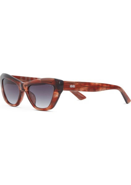 Cr 80061 C4 Cat Eye Kahverengi Desenli Kadın Güneş Gözlüğü