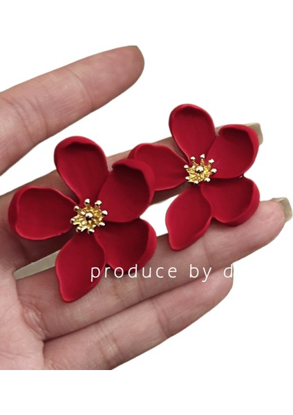 Şık ve Zarif Saplama Küpeler (Yurt Dışından)