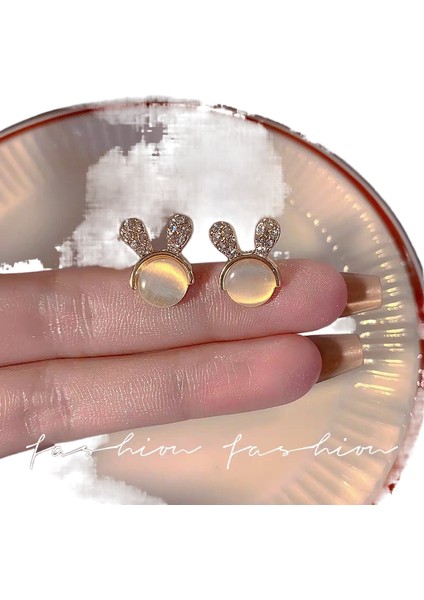 Şık ve Narin Saplama Küpeler (Yurt Dışından)