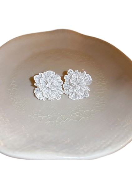 Şık ve Zarif Saplama Küpeler (Yurt Dışından)