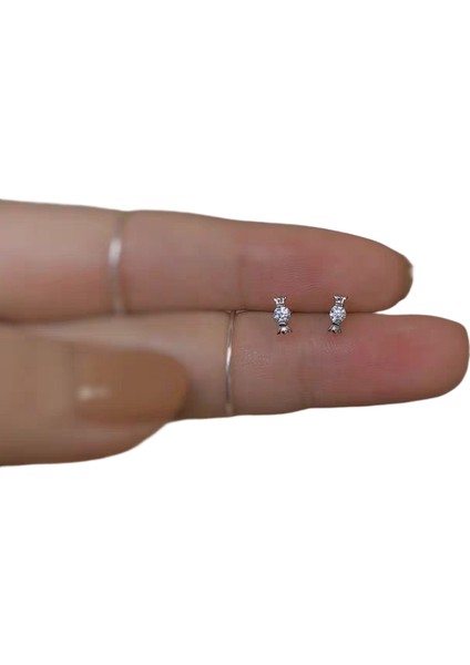 Şık ve Narin Saplama Küpeler (Yurt Dışından)