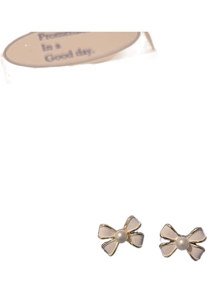 Şık ve Narin Saplama Küpeler (Yurt Dışından)