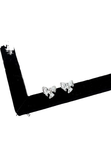 Şık ve Narin Saplama Küpeler (Yurt Dışından)