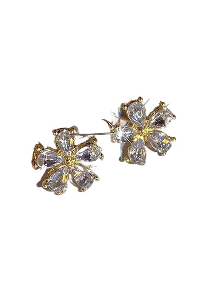 Şık ve Narin Saplama Küpeler (Yurt Dışından)