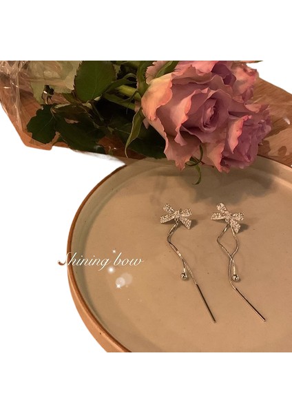 Şık ve Zarif Saplama Küpeler (Yurt Dışından)