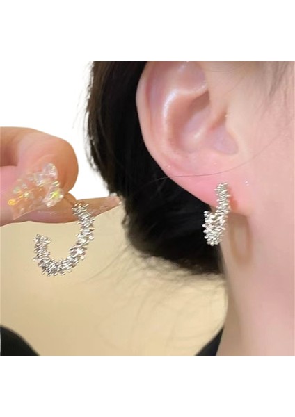 Şık ve Narin Saplama Küpeler (Yurt Dışından)