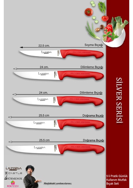 Silver Serisi Mutfak Bıçak Seti Et Ekmek Sebze Meyve Bıçağı 5 Li Set Günlük Kullanım ( Mtf-015 )