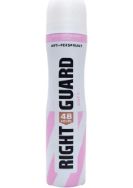 Yumuşak Cilt Hissi Veren Terleme Önleyici 250 ml