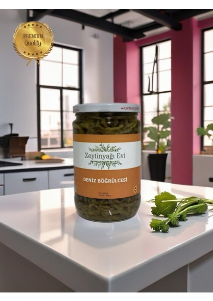 Özel Cam Şişe Deniz Börülcesi Turşusu 600 gr modelleri