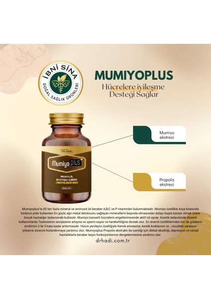 Dr. Hadi Mumiyoplus 60 Kapsül