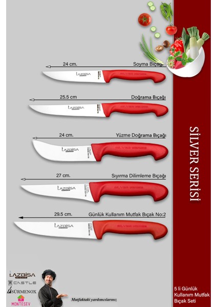 Silver Serisi Mutfak Bıçak Seti Et Ekmek Sebze Meyve Bıçağı 5 Li Set Günlük Kullanım ( Mtf-016) fiyatları