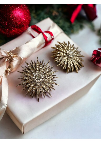 Zirkon Taşlı Deniz Kestanesi Küpe fiyatları