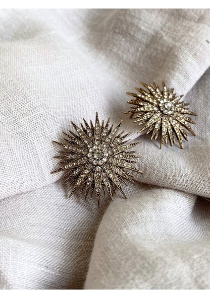 Zirkon Taşlı Deniz Kestanesi Küpe modelleri