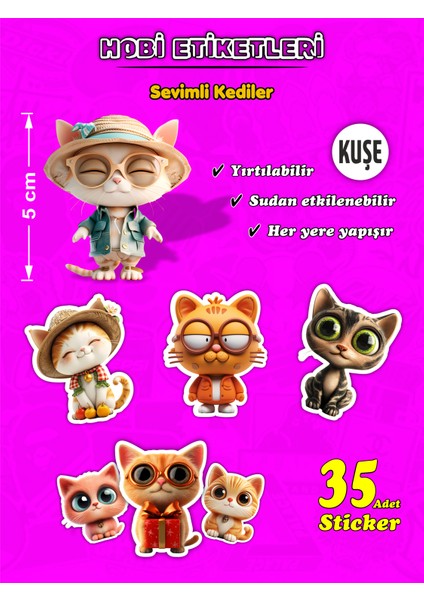 Sevimli Kediler Hobi Etiket Seti 35 Adet