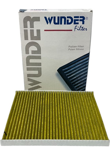 Dodge Caravan 2000-2007 Karbonlu Polen Filtresi