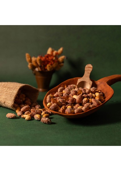 Osmaniye Kavrulmuş Tuzlu Fıstık İçi 500 GR fiyatları