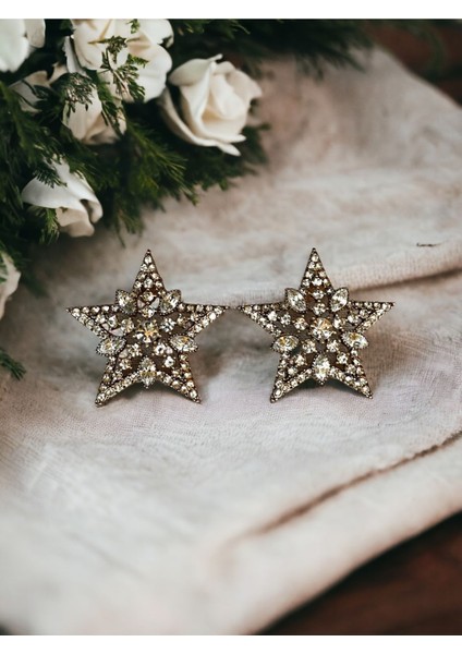 Kristal Taşlı Yıldız Küpe indirimleri