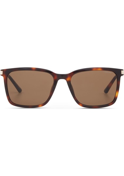 Cr 80075 Kare Kahve - Altın Erkek Güneş Gözlüğü fiyatları