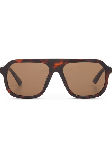 Cr 80065 Pilot Havana Erkek Güneş Gözlüğü fiyatları