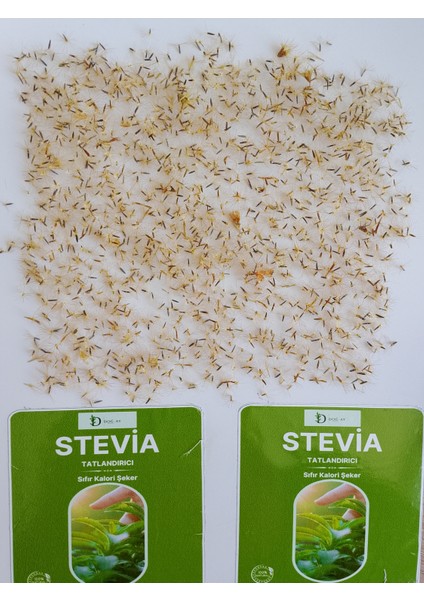 Şeker Otu Tohumu Stevia 100 Adet