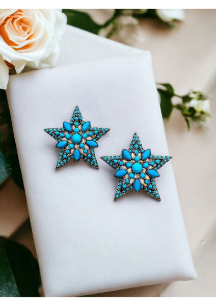 Kristal Taşlı Yıldız Küpe fiyatları