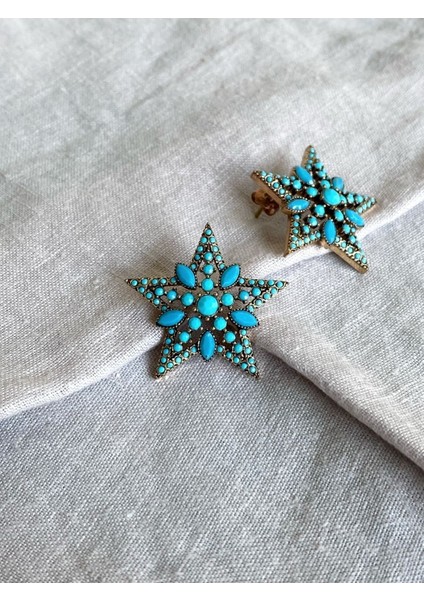 Kristal Taşlı Yıldız Küpe indirimleri