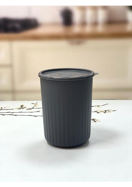 Rüya Silindir Saklama Kabı 2,1 Lt Renkli