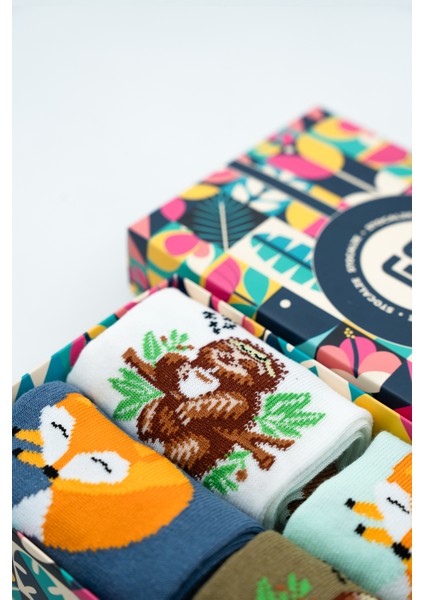 Unisex Pamuklu Tilki Koala Özel Desenli 4 Farklı Renkli Esnek Terletmez Rahat Soket Çorap modelleri