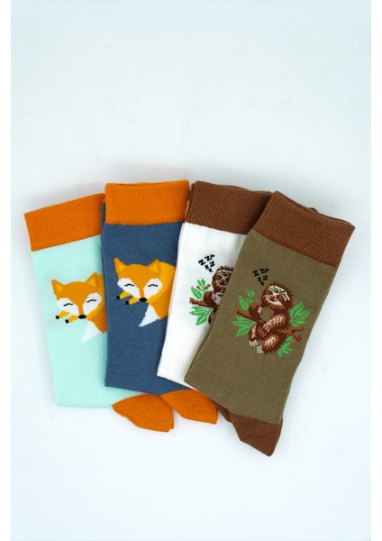 Unisex Pamuklu Tilki Koala Özel Desenli 4 Farklı Renkli Esnek Terletmez Rahat Soket Çorap fırsatları
