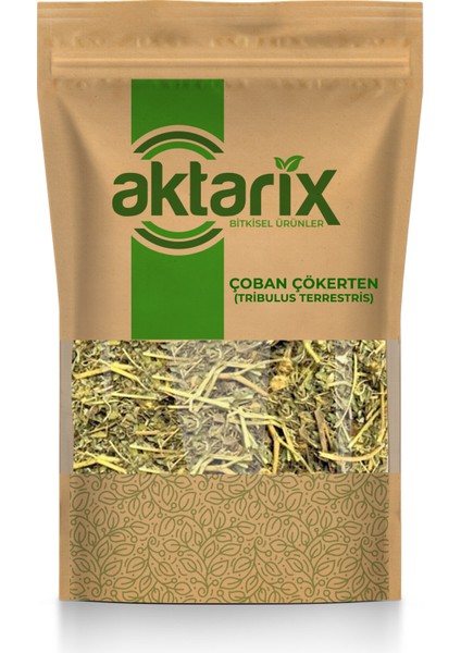500 gr Çoban Çökerten Otu - Tribulus Terrestris ( Demir Dikeni Otu )