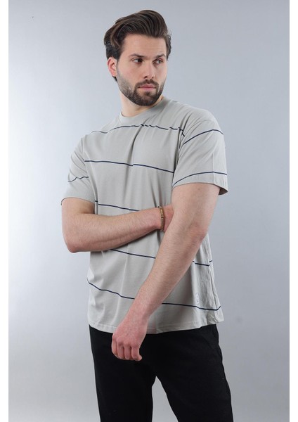 Boyalı Gri Bisiklet Yaka Basic Çizgili Erkek T-Shirt E7102 fiyatları