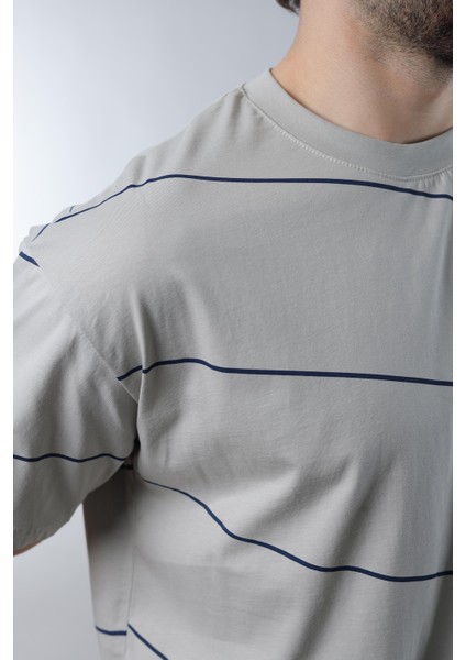 Boyalı Gri Bisiklet Yaka Basic Çizgili Erkek T-Shirt E7102 modelleri