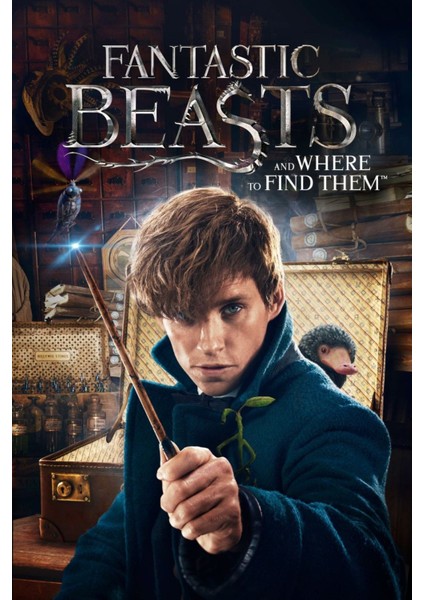 Fantastic Beasts And Where To Find Them (2016) 1 ( Folyo ) - Afiş - POSTER-2769 ( 50 cm x 70 cm )