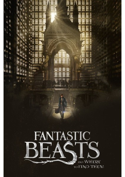 Fantastic Beasts And Where To Find Them (2016) 2 ( Folyo ) - Afiş - POSTER-2770 ( 50 cm x 70 cm )