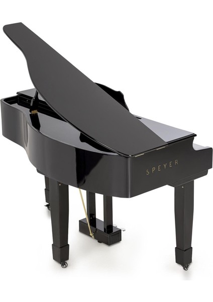 Speyer Serisi AG30S Grand Piyano