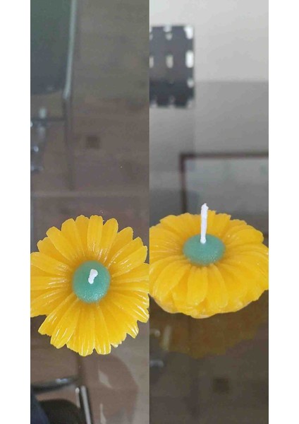 Hediyelik Papatya Mum modelleri