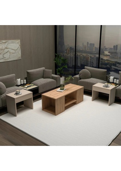 Modern Orta Sehpa 3'lü Salon Sehpası Zigon Sehpa