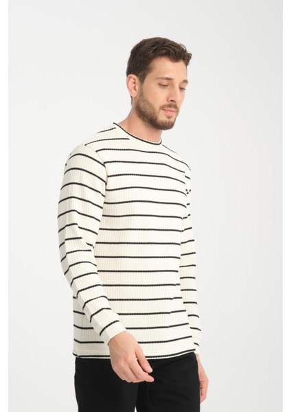 %100 Pamuk Uzun Kollu Çizgili Erkek Sweatshirt