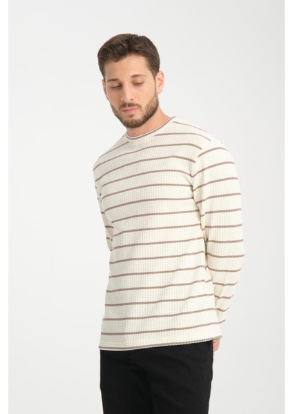%100 Pamuk Uzun Kollu Çizgili Erkek Sweatshirt