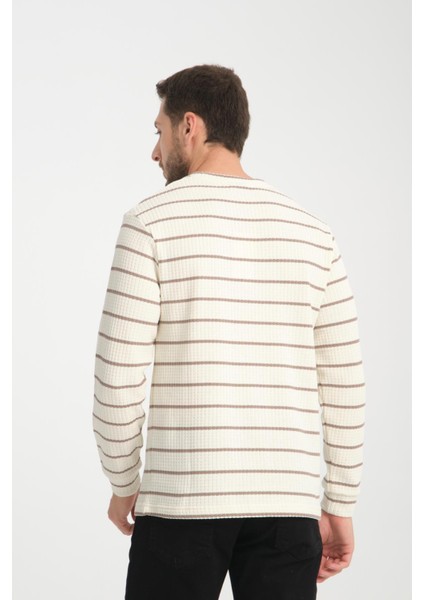 %100 Pamuk Uzun Kollu Çizgili Erkek Sweatshirt