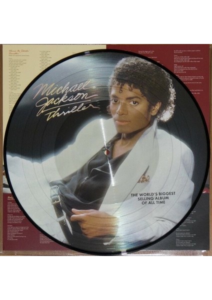 Michael Jackson Thriller Picture Disc Lp Plak