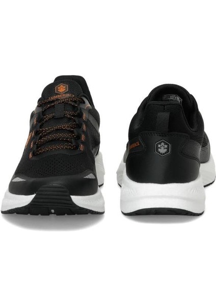 Wılly Erkek Sneaker Günlük Spor Ayakkabı
