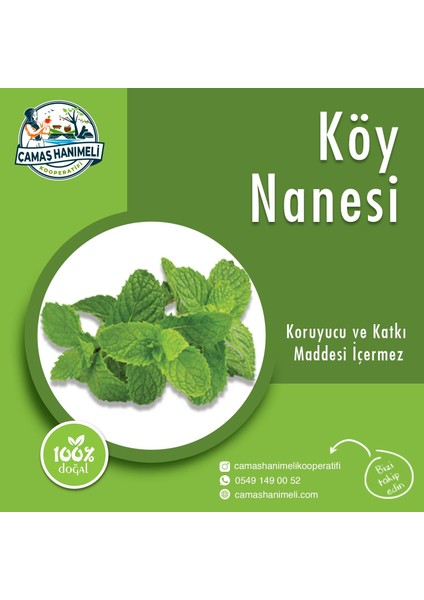 Çamaş Köy Nanesi