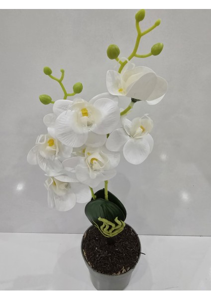 Saksısız Zarif Beyaz Orkide Yapay Bitki